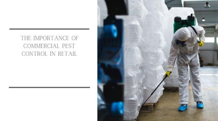 The Importance of Commercial Pest Control in Retail - Avalon Services
