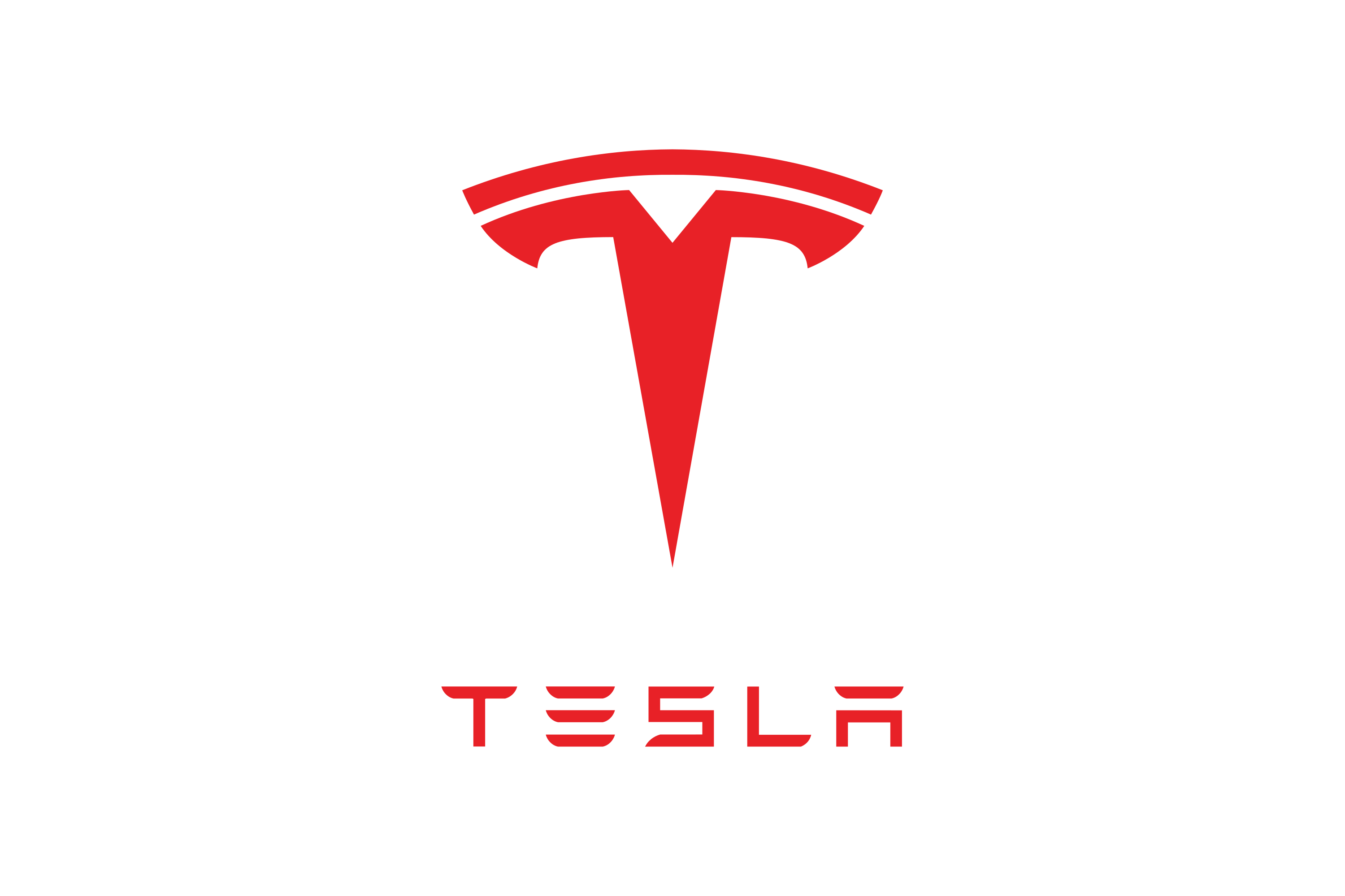 Telsa logo
